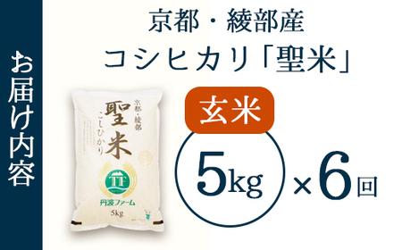 【定期便6回】 聖米(玄米) 5kg×6回 | 米 お米 こしひかり 玄米