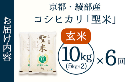 【定期便6回】 聖米(玄米) 10kg（5kg×2）×6回 | 米 お米 こしひかり 玄米