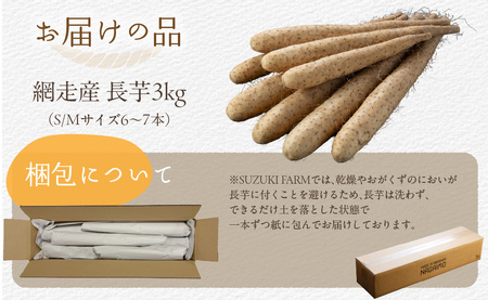長芋 3kg ABBX001