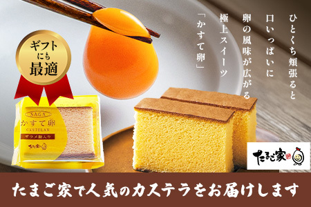 たまご家のカステラ　さがかすて卵ギフト 10個入りセット【個包装で嬉しい】ふるさと納税 カステラ 個包装 濃厚 こだわり卵 お中元 お歳暮 内祝い 贈答 贈り物 鹿島市B-906