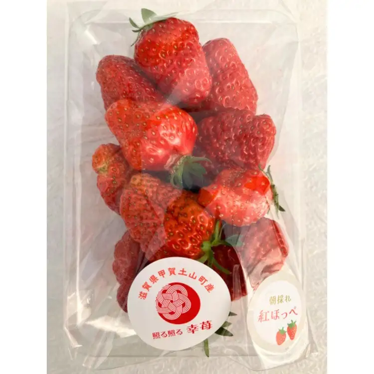 いちご　紅ほっぺ　訳アリ1kg（250g×4パック）