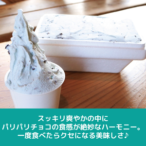 ジェラート イタリアンジェラート チョコミント 1000ml