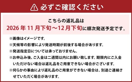 あたご梨 3～6玉 合計約3kg 化粧箱 梨 ナシ なし 愛宕梨 あたごなし ジャンボ梨 【2026年11月下旬～12月下旬発送予定】