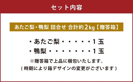 あたご梨・鴨梨（ヤーリー）詰合せ 2玉 合計約2kg 贈答箱 梨 ナシ なし 愛宕梨 あたごなし ジャンボ梨 【2026年11月下旬～12月下旬発送予定】