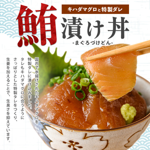 【指宿直送便】マグロ漬け丼の素80g×20P (指宿山川水産/IB035-016) マグロ まぐろ 鮪 漬け丼 漬け丼の具 漬けマグロ 漬けまぐろ 漬け魚 個包装 冷凍 お取り寄せ 魚 海鮮