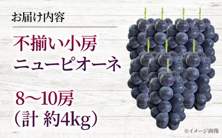 【2026年先行予約】 不揃い 三次のぶどう ニューピオーネ（約4kg／8から10房）＜8月下旬頃から順次発送＞ 小房 三次市 / 黒瀬ぶどう園[APAB006]