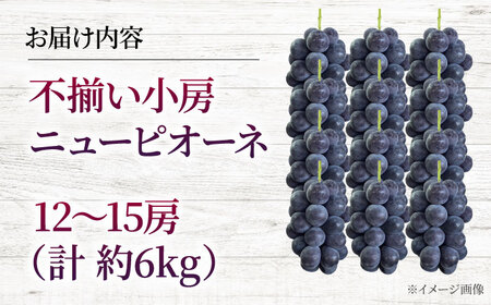 【2026年先行予約】 不揃い 三次のぶどう ニューピオーネ（約6kg／12から15房） ＜8月下旬頃から順次発送＞ 小房 三次市 / 黒瀬ぶどう園[APAB007]