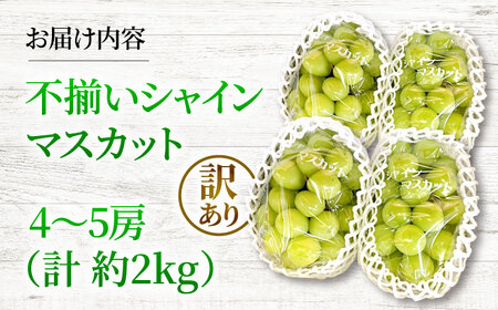 訳あり シャインマスカット 三次市 [APAB009]