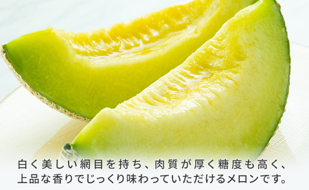 クラウンメロン 3個 白等級 約1.3kg クラウン メロン 贈答 高級 フルーツ 果物 静岡 浜松市【配送不可：離島】