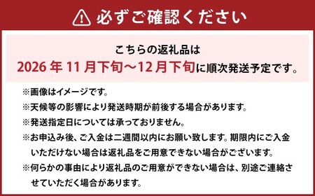 あたご梨 3～9玉 合計約4kg ご家庭用 梨 ナシ なし 愛宕梨 あたごなし ジャンボ梨 【2026年11月下旬～12月下旬発送予定】
