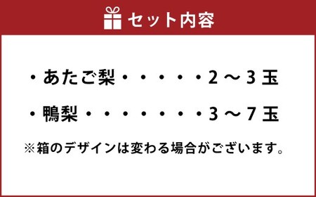 あたご梨 2～3玉・鴨梨（ヤーリー） 3～7玉 詰合せ 合計約4kg ご家庭用 梨 ナシ なし 愛宕梨 あたごなし ジャンボ梨 【2026年11月下旬～12月下旬発送予定】