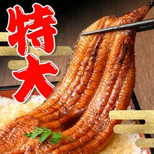 i1078-A-f 【父の日ギフト】＼特大サイズ／鹿児島県産 うなぎ蒲焼 2尾（約220g×2・計約440g） たれ 山椒付きうなぎ 鰻 ウナギ 特大 特大サイズ 約220g 蒲焼き 国産 鹿児島県産 焼きたて 生産量日本一 真空パック おかず 晩御飯 特別な日 贈答 ギフト プレゼント 父の日 【薩摩川内鰻】