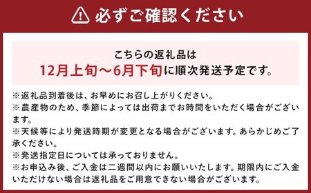 【 7月～11月発送不可 】 ミディトマト はなひめ 2kg とまと トマト 野菜 やさい フルティカ オリジナルブランド 国産 福岡県産