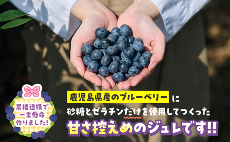 ブルーベリー ジュレ KN106-003 無添加