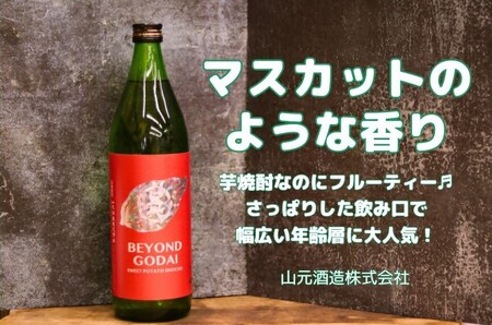 ＼炭酸割りがおすすめ！／香り華やぐ本格芋焼酎セット BEYOND GODAI ENVELHECIDA ビヨンドゴダイ エンヴェレシーダ 芋焼酎 焼酎 人気 AS-5100
