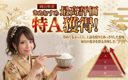 【期間限定寄附額】最高評価「特A」令和7年産 岡山県産米　「きぬむすめ」 10kg(5kg×2袋)　＜8月発送＞