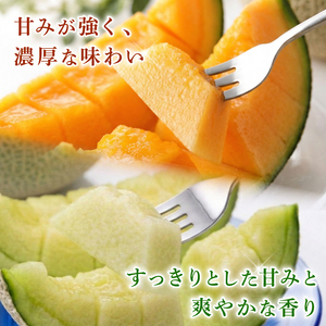 贈答用 メロン 青肉・赤肉 セット 各1個