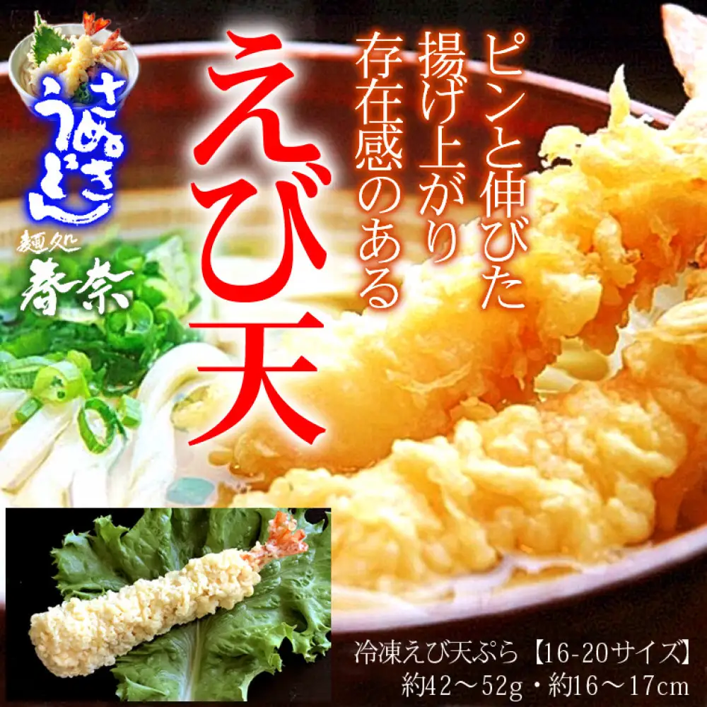 冷凍さぬきうどん 麵処 春奈 人気の3種6人前 肉うどん えび天 きつね