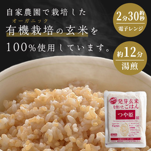 ＜3ヶ月定期便＞発芽玄米パックご飯 計48パック(16パック×3回) つや姫発芽玄米 発芽玄米 レンジ 有機栽培 パックご飯 パックごはん ご飯パック ごはんパック パックライス ご飯 米 レンチン 頒布会 【有機農園ファーミン株式会社】tm580