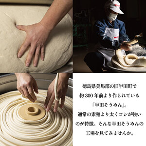 半田そうめん 工場見学 大人2名様 チケット 