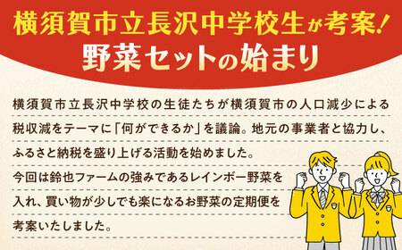 【先行予約】【全2回定期便】冬の汎用野菜セット（5〜6品目）冬（12月〜1月）【鈴也ファーム】[AKCE027]