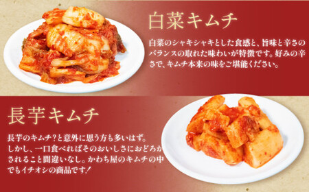【 定期便 6回 】 海鮮キムチ 6種 詰め合わせセット 甘口 キムチ 食べ比べ 冷蔵 かわち屋