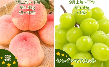 【2026年受付】ご家庭用 食べきり 旬果フルーツ定期便 全4回 