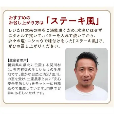 【毎月定期便】肉厚!あらかわ生しいたけ特選プレミアム全12回【配送不可地域：離島】【4083715】