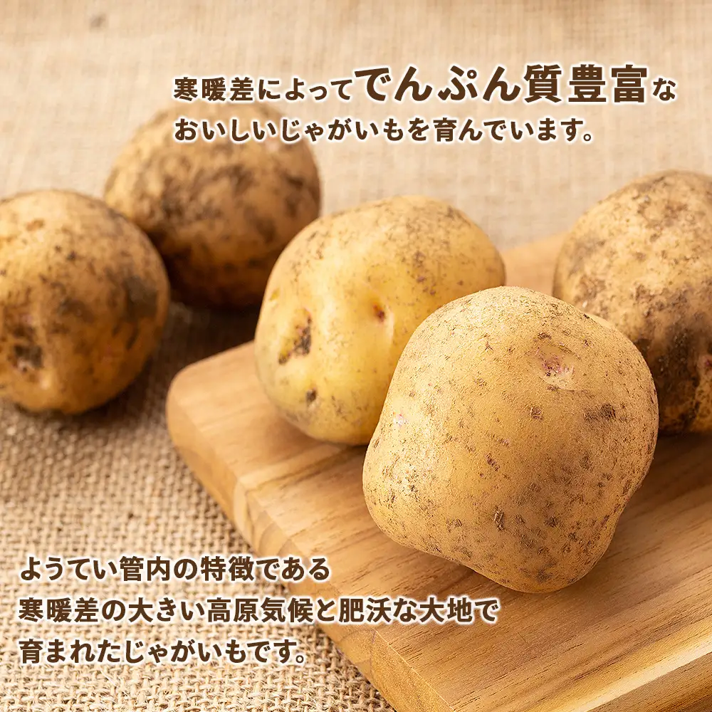 【2026年秋発送 先行予約】じゃがいも 馬鈴薯（男爵）Ｌサイズ　5kｇ＜JAようてい＞