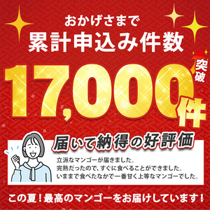 2026年発送 訳あり 鹿児島県 指宿 産 温泉 完熟 マンゴー 約1kg T&P IB057-001 マンゴー マンゴー
