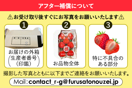 あまおう 約270g×4P 計1080g 【7営業日以内発送】あまおう