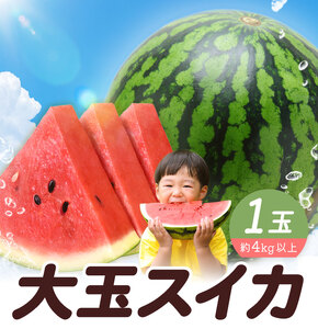 【先行予約】大玉すいか 1玉 約4kg 株式会社エフビーネット《5月上旬-7月中旬頃出荷》熊本県 菊池市 すいか スイカ 大玉 熊本県産 フルーツ