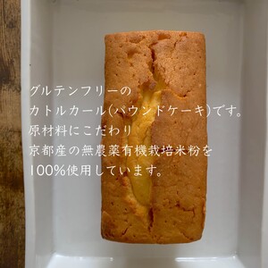 極上米粉のカトルカール2本入り　グルテンフリー  197-004