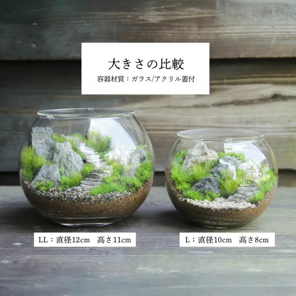 《苔テラリウム・コケリウム》階段の風景 ボウルLL