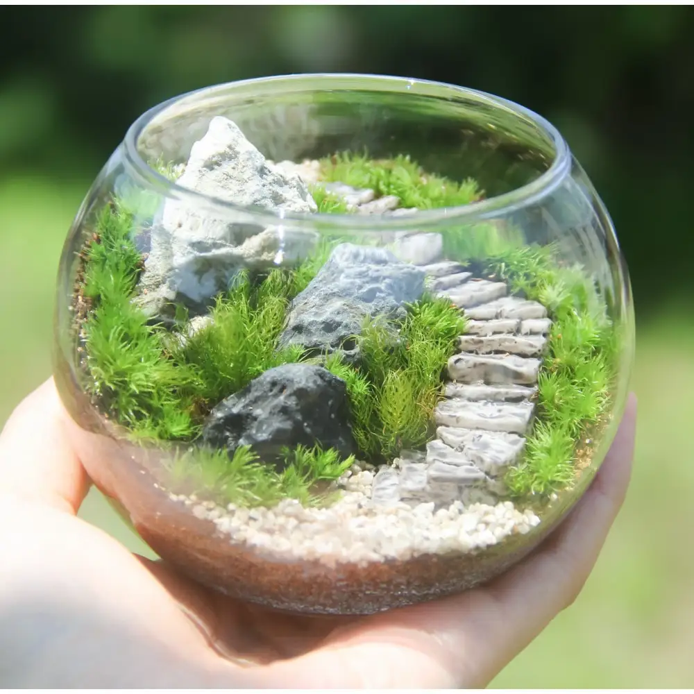 《苔テラリウム・コケリウム》階段の風景 ボウルL