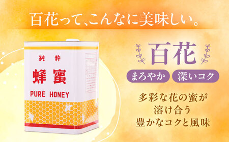 百花はちみつ（一斗缶24kg） / はちみつ 国産 非加熱 純粋 蜂蜜 天然 ハチミツ / 稲沢市 / 椿園株式会社[BMBI006]