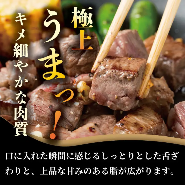 希少部位！A4 〜 A5 佐賀牛 ヒレ サイコロ ステーキ 400g 佐賀牛 冷凍 赤身 牛肉 希少部位 国産 お肉 ブランド牛 九州産 ヒレ肉 ブランド牛 ステーキ肉 牛肉 フィレフィレ肉 川べぇ  C250-016