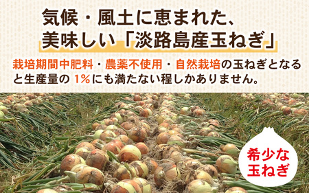 淡路島産 栽培期間中肥料・農薬不使用 自然栽培玉ねぎ 5kg ／ 玉ねぎ
