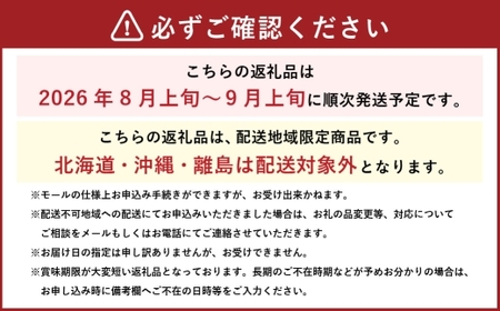 岡山県産 ブラックビート 約800g （ 約400g×2房 ） ぶどう ブドウ 葡萄 くだもの 果物 果実 フルーツ 国産 黒ぶどう 【 2026年8月上旬～9月上旬発送予定 】