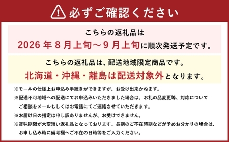 岡山県産 ブラックビート 約600g （ 約600g×1房 ） ぶどう ブドウ 葡萄 くだもの 果物 果実 フルーツ 国産 黒ぶどう 【 2026年8月上旬～9月上旬発送予定 】