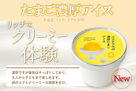 たまご濃厚アイスとバスクチーズケーキのセット（各2個　計4個セット）