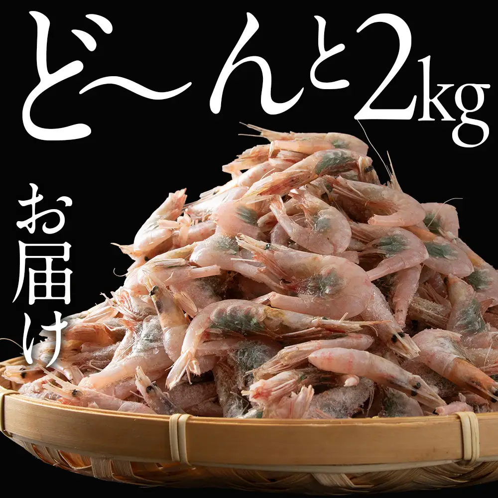 北海道産 白老加工 南蛮えび1kg×2＜斉藤水産＞ AM204