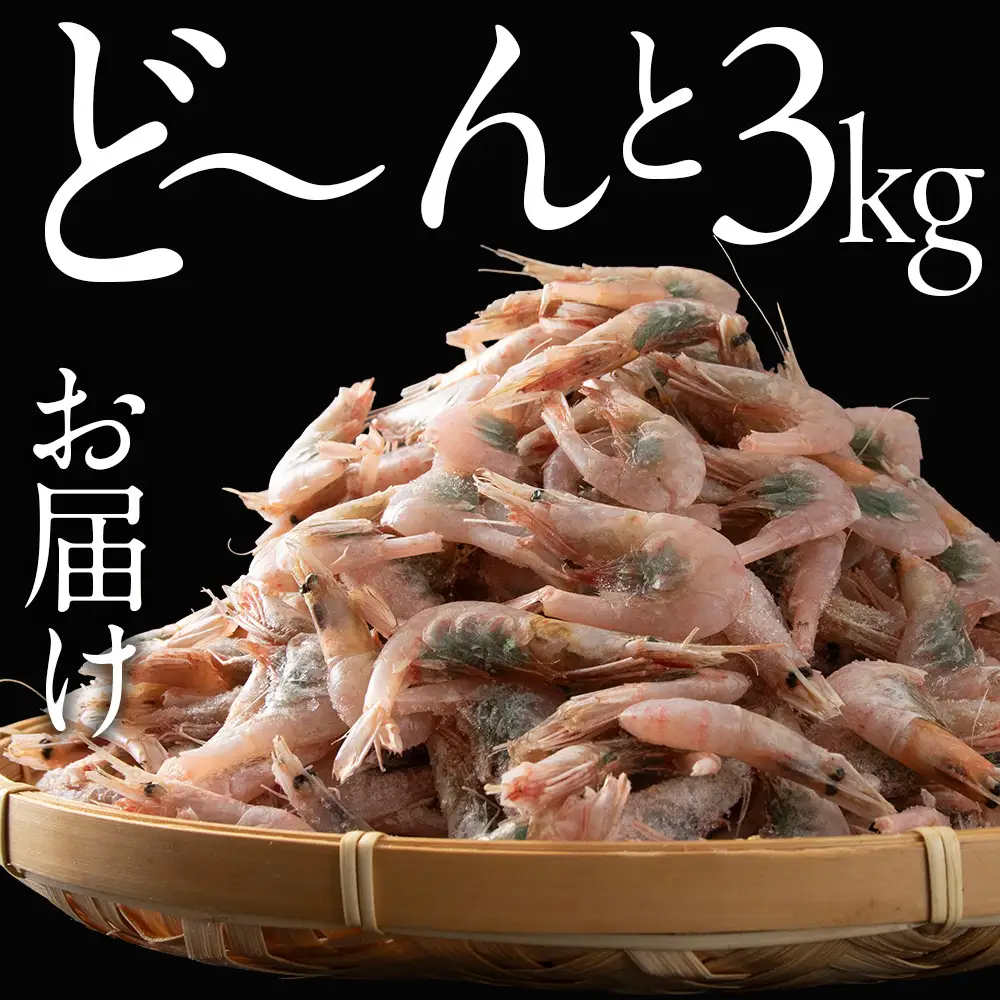北海道産 白老加工 南蛮えび1kg×3＜斉藤水産＞ AM205