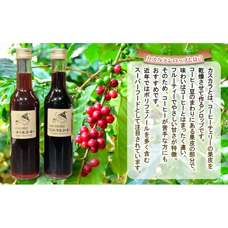 カスカラシロップ 300ml×2本セット｜セントラルコーヒー コーヒー カスカラ  シロップ 珈琲