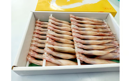 岡嶋水産　生乾しししゃも中メス４０尾(C0043)