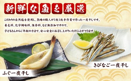 一夜干しざんまいセット ／ 干物 ひもの 魚介 海鮮 海産物 真空パック おかず おつまみ 長崎県 長崎市