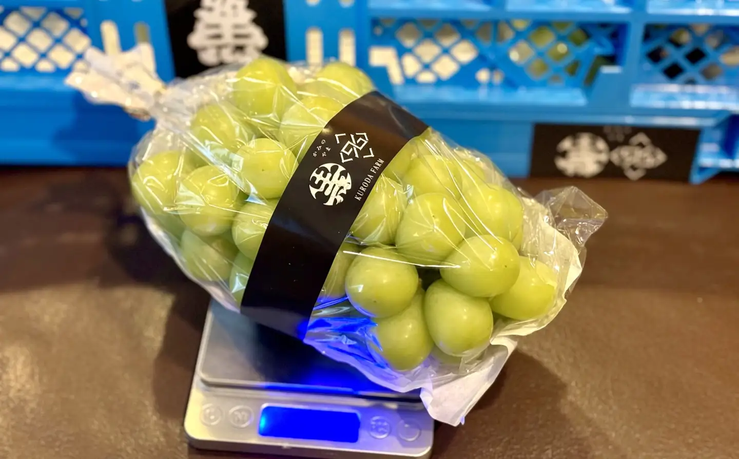 シャインマスカット　大粒　１房　６００ｇ以上　特秀品　0102-2601