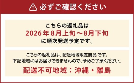 豊かな自然で、園主が愛情を注ぎ込んだ桃 （赤桃） 約2kg （6～11玉） 果物 くだもの 夏果実 フルーツ 【2026年8月発送予定】