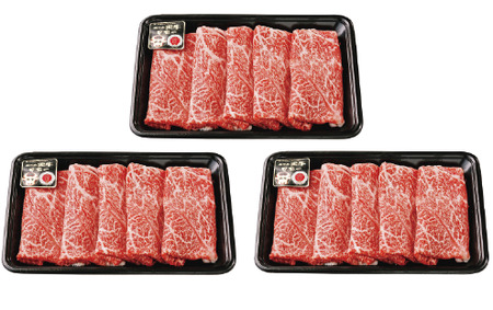 5等級鹿児島黒牛ウデスライス900g JAいぶすき IB045-002 D3501 牛肉 牛肉 