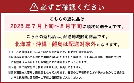 岡山白桃 エース 4～8玉 約1.5kg 岡山県産 白桃 桃 もも モモ くだもの 果物 果実 フルーツ 国産 ギフト 贈り物 【 2026年7月上旬～8月下旬発送予定 】